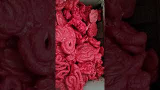 Moinho 600mm Com Motor 30CV - Vídeo