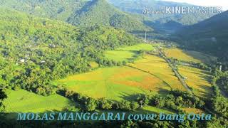 Download lagu Molas  Manggarai-- Silo Rende //By: Osta mp3