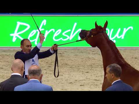 68 GHALYAH AL HAWAJER Dubai 2018