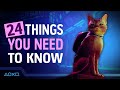 Stray - 24 Things You Need To Know Before You Play