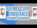 Flex by Cupid Line Dance Tutorial for Seniors and Beginners | Step by Step Slowly