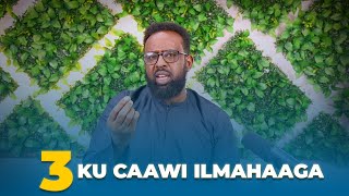 3 DAN SHAY KU CAAWI ILMAHAAGA - FARIINTA JIMCAHA