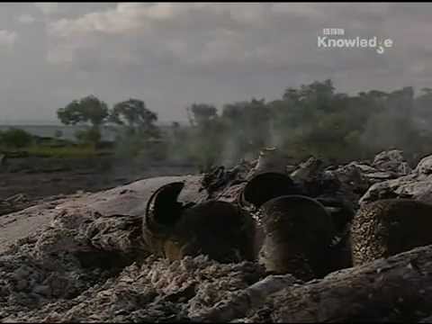 Ray Mears Extreme Survival S01E06 - Arnhemland [LEKTOR PL]