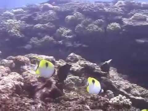 Rarotonga, Rarotonga,Cookinseln