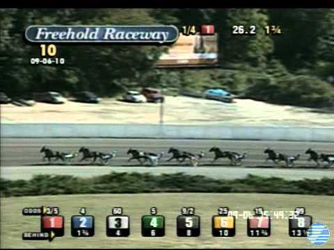 2010 Cane Pace - theharnessedge.com