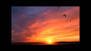 Olivia Newton-John. Amoureuse (DayBeat 2026 Remix)