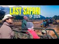 Safari with Subscribers in Bandhavgarh Tiger Reserve DEFAULT Thumbnail