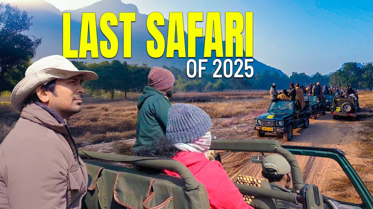 Safari with Subscribers in Bandhavgarh Tiger Reserve