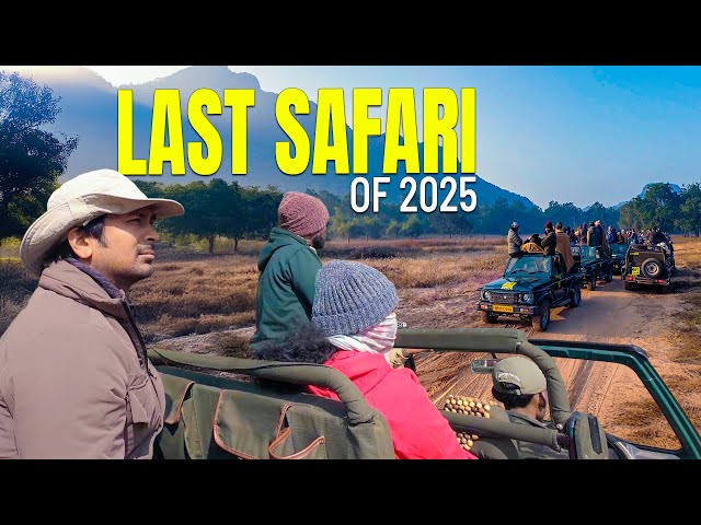 Safari with Subscribers in Bandhavgarh Tiger Reserve SDDEFAULT Thumbnail