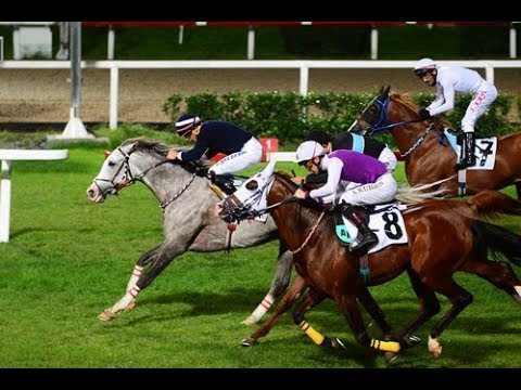 SAAYSD Koşusu (Grup - 2) 28/09/2018