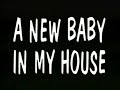 My Sesame Street Home Video A New Baby In My House HVN VCD