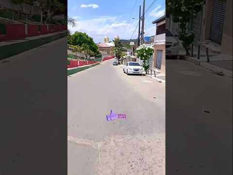 Palmeirina Pernambuco