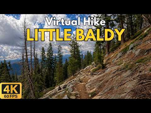 Little Baldy 4K POV Hike | Ascent & Descent | Sequoia National Park | Treadmill Walk