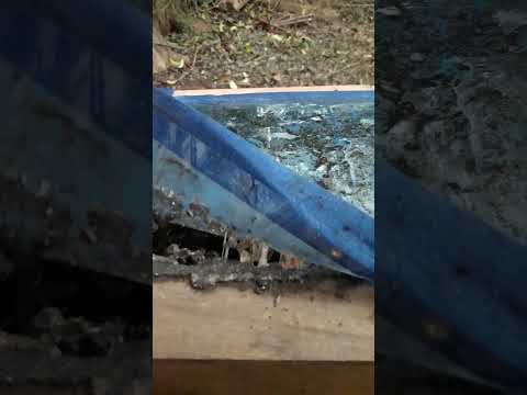 #conservación #abejas #escaptotrigonadepilis #canudo  #abelhas #Naturaleza #Misiones #campoviera