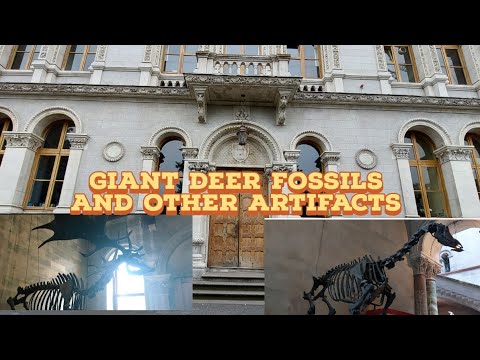 MUSEUM BUILDING TRINITY COLLEGE #dublinireland#palazzo#byzantinearchitecture