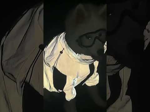 Rumor Debunked: Not All Cool Dogs Are Boys! #FlyingSesh #DopeyPup #SamoyedLove