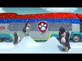 Elmo S World Footage Remakes Penguins
