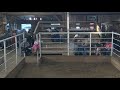 Elkhart Horse Auctions Is Live July 18 Th HORSE SALE