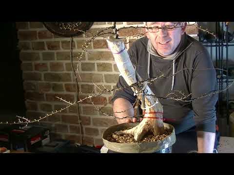 Nach der Hochzeit kam noch das Drahten ( 2022 - 18 )