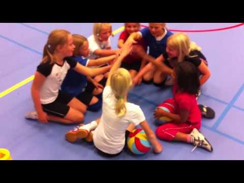 Yell Lycurgus mini's