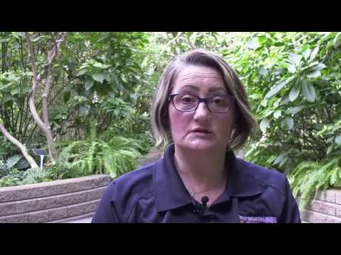 Detroit Zoological Society | Flamingo Rescue in South Africa