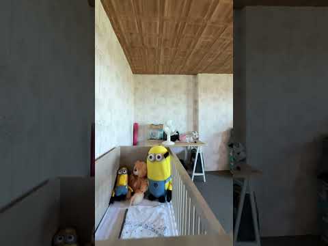 Vidéo
