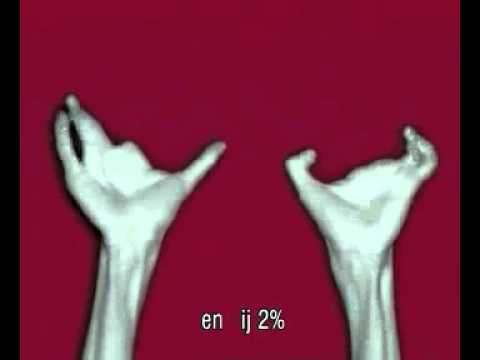 SIRE | Vuurwerk 2 | 1996
