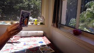 TAURUS TAROT READING "Feeling loved!!!" APRIL 16-30th 2021