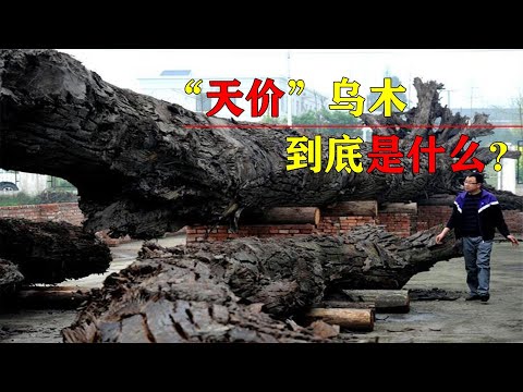 烏木功效