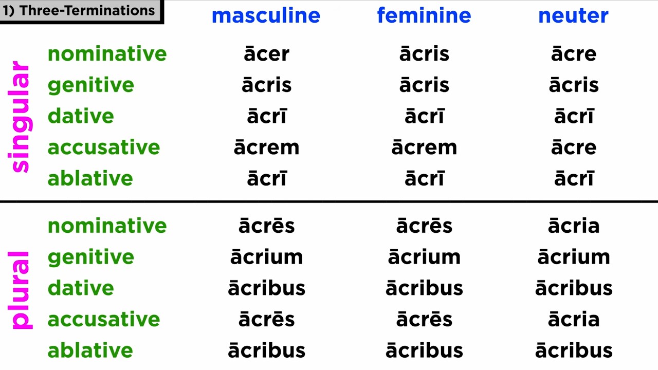 Adjectives of the Third Declension in Latin