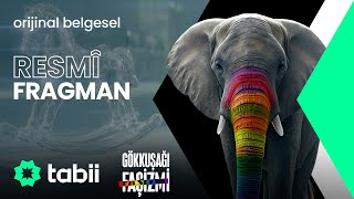 Gökkuşağı Faşizmi | Resmi Fragman #tabii 💚