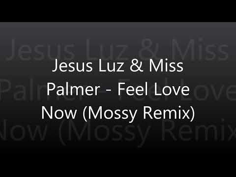 Jesus Luz & Miss Palmer - Feel Love Now (Dj Mossy Remix)