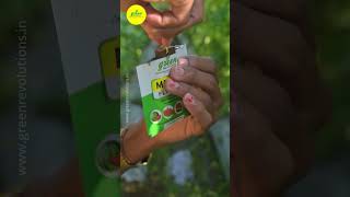 Download lagu Melon Fly Lure with Tri Trap | Fruit Fly Trap for cucurbit vegetables | Pest Management in cucurbits mp3