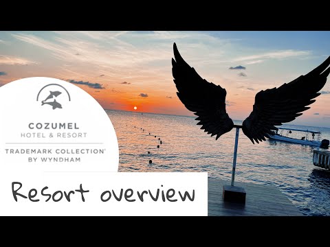 Videos del Cozumel Resort Tm By Wyndham 4★ en Cozumel, MéxicoVerPrecios5CerrarConsulta por Whatsapp 🇦🇷BookingTripadvisorExpediaTripSkyscanner