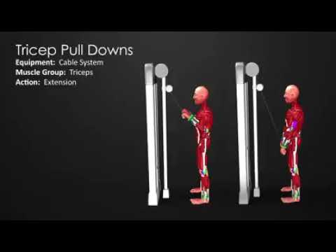 Strength Training for Swimmers - Lats and Triceps