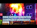 Konijn redt mensen uit brand & mensonwaardige opvang asielzoekers | Drenthe Nu