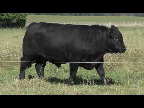 Lot 27 DANDALEITH PENE 172
