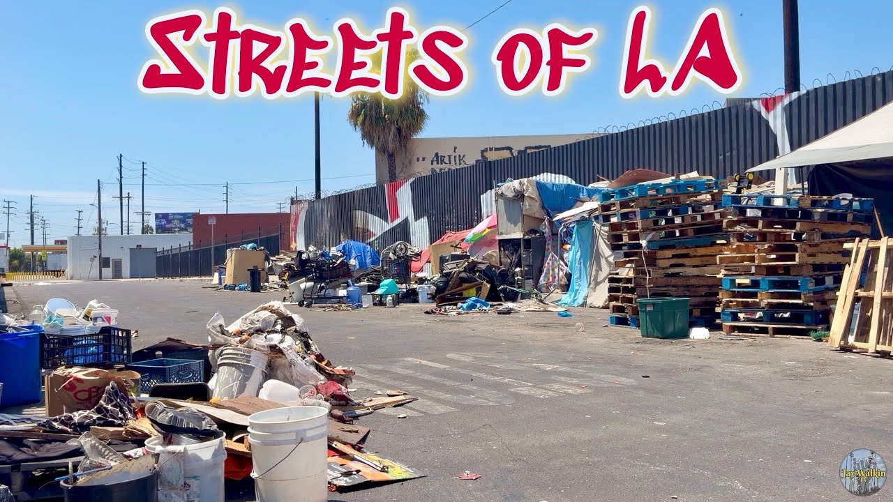 Not Just Skid Row ⛺️😳| Downtown Los Angeles, California 🇺🇸 
