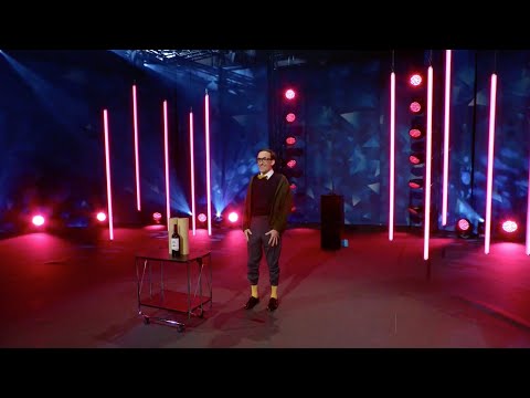 Erwin aus der Schweiz (Marc Haller)