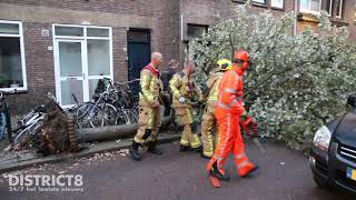 20210927 DISTRICT8 logo Vrachtwagen rijdt boom uit grond JacobCatsstraat Delft