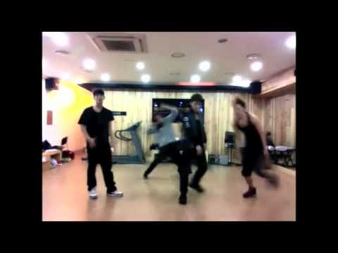 Dalmatian - E.R mirror dance practice