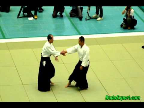 Tada Hiroshi Shihan - 49th All Japan Aikido (2011)