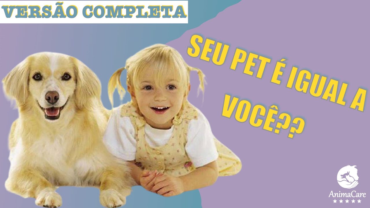 É verdade que o cachorro se parece com o dono! Entenda a Constelação Veterinária e a Visão Sistêmica