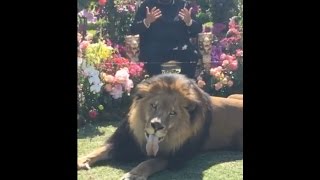 DJ Khaled photo shoot video with real life lion for "Major Key" album cover
