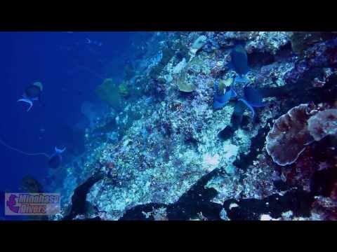 The North Sulawesi Experience [HD1080]