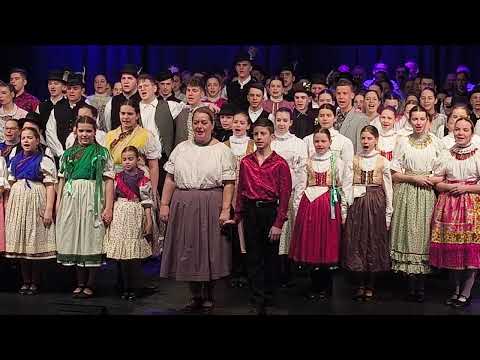 2025.02.08. Sok születés napokat