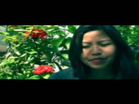 H. ZOSANGLIANI (BIBLE KA PAWM VAWNGVAWNG) PHUAHTU : REV. VANLALSIPAIA