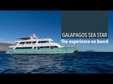 Cruise video 1