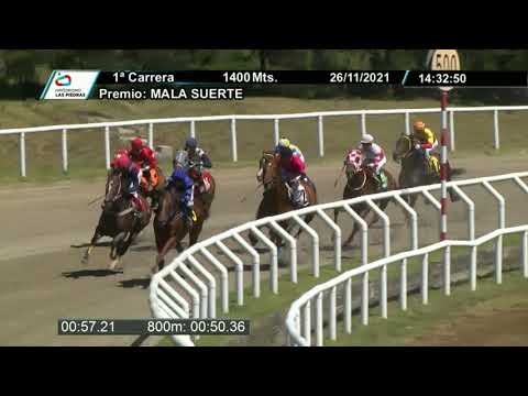 211126 c01 - COUSTEAU - HIPODROMO LAS PIEDRAS
