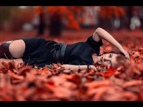 Suncatcher & Exolight - Dreamer (Extended Mix)